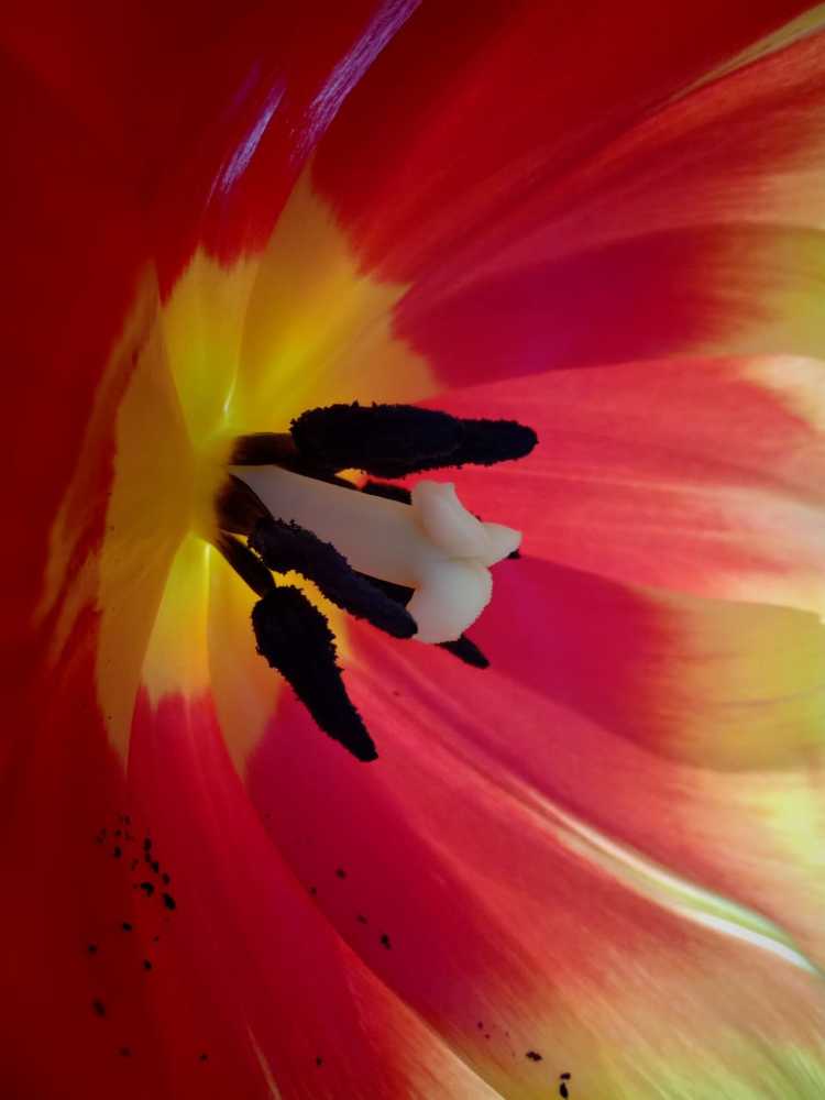 Photograph by Елена Васильева