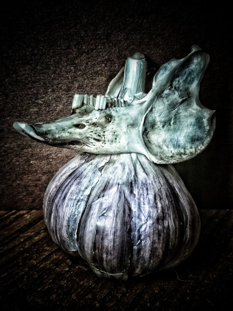 Photograph by Мария Бартош