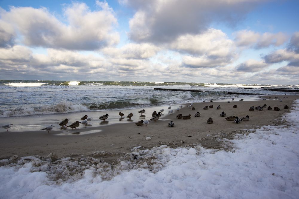 Photograph by Сергей Чуриков