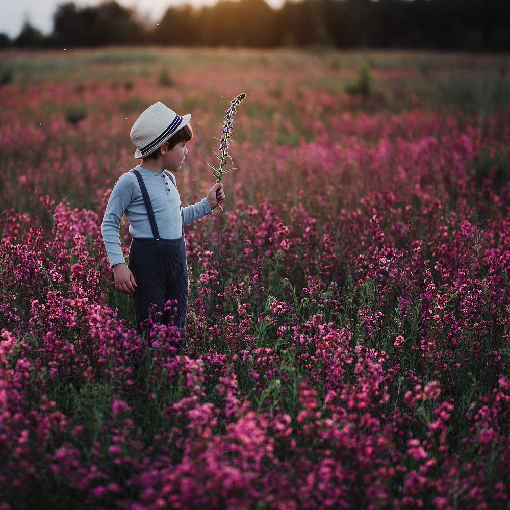 Фотография автора Анна Беляева