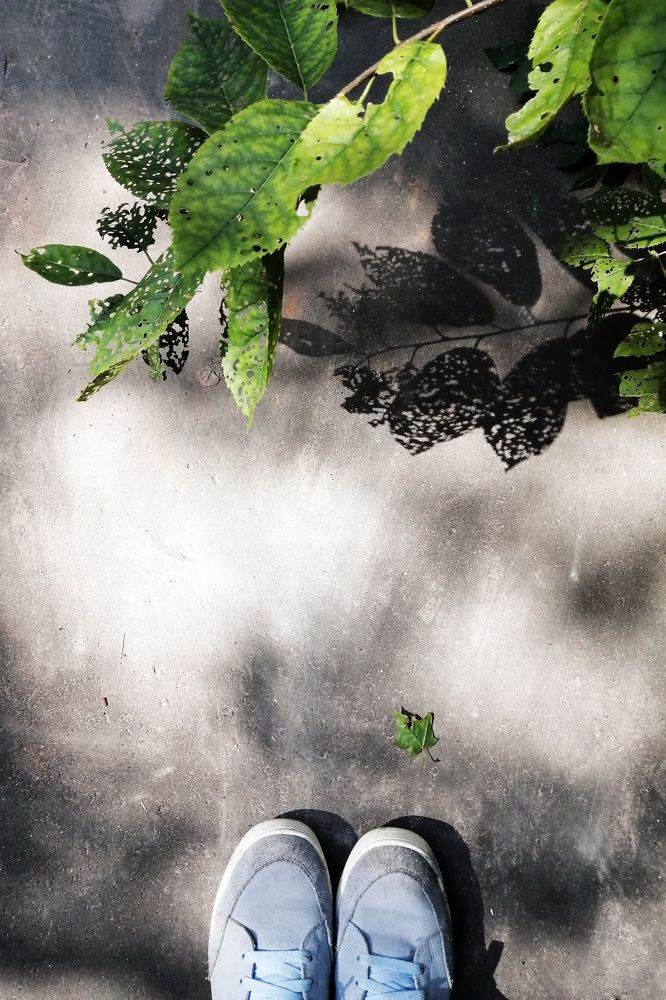 at my mother's house