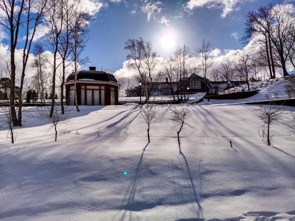 Тени усадьбы Бисмарка