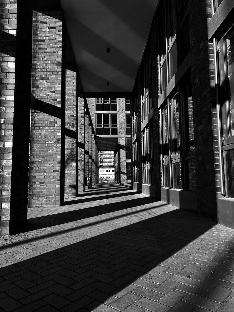 Photograph by Ramin Ismayilov