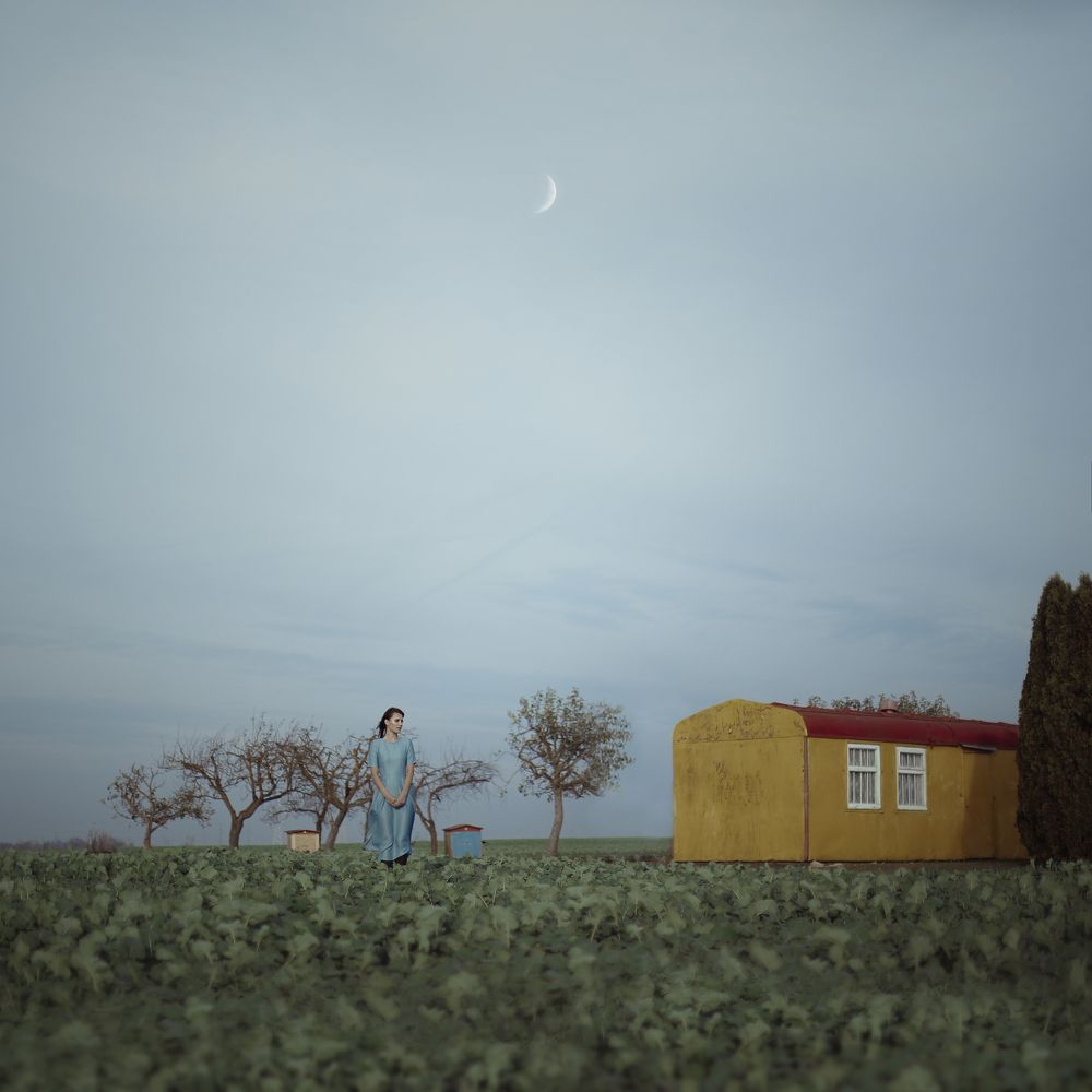 Photograph by Augustina Lunaria