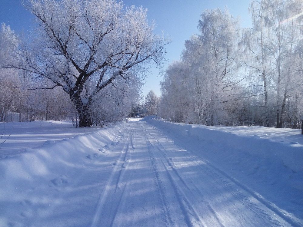 Photograph by Григорий Ветошкин