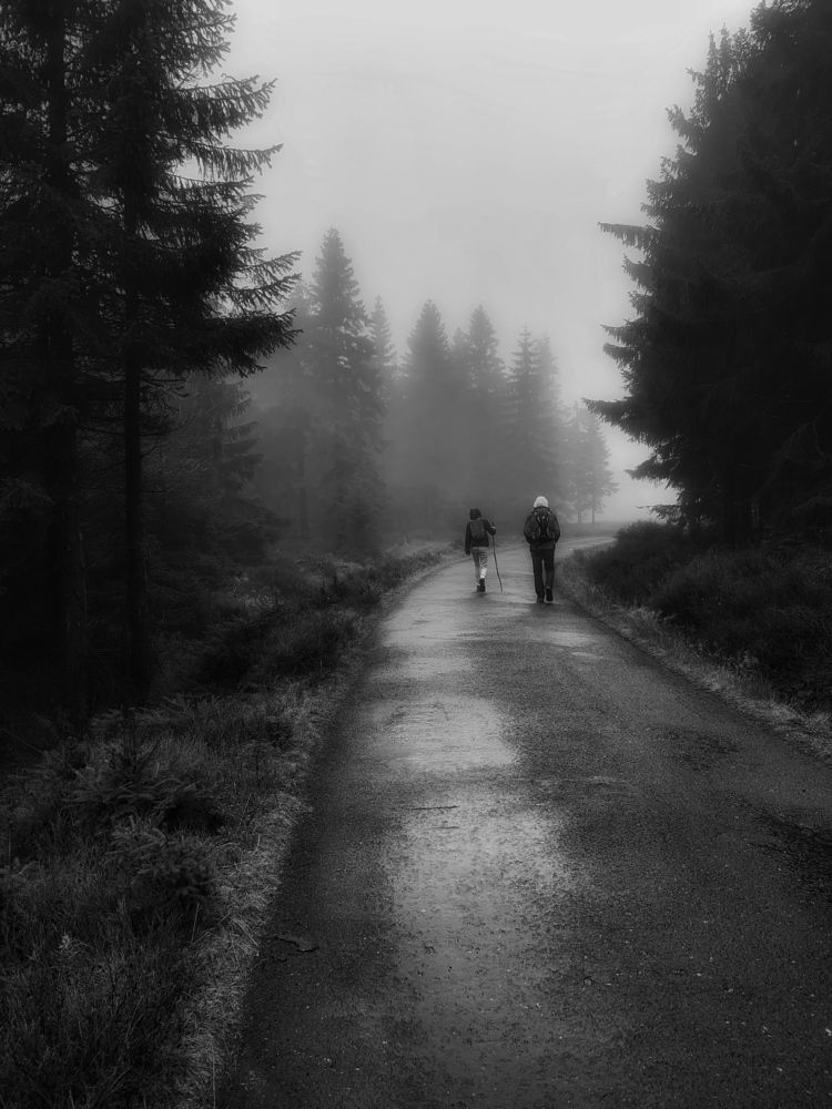 Photograph by Malgorzata Lemiec