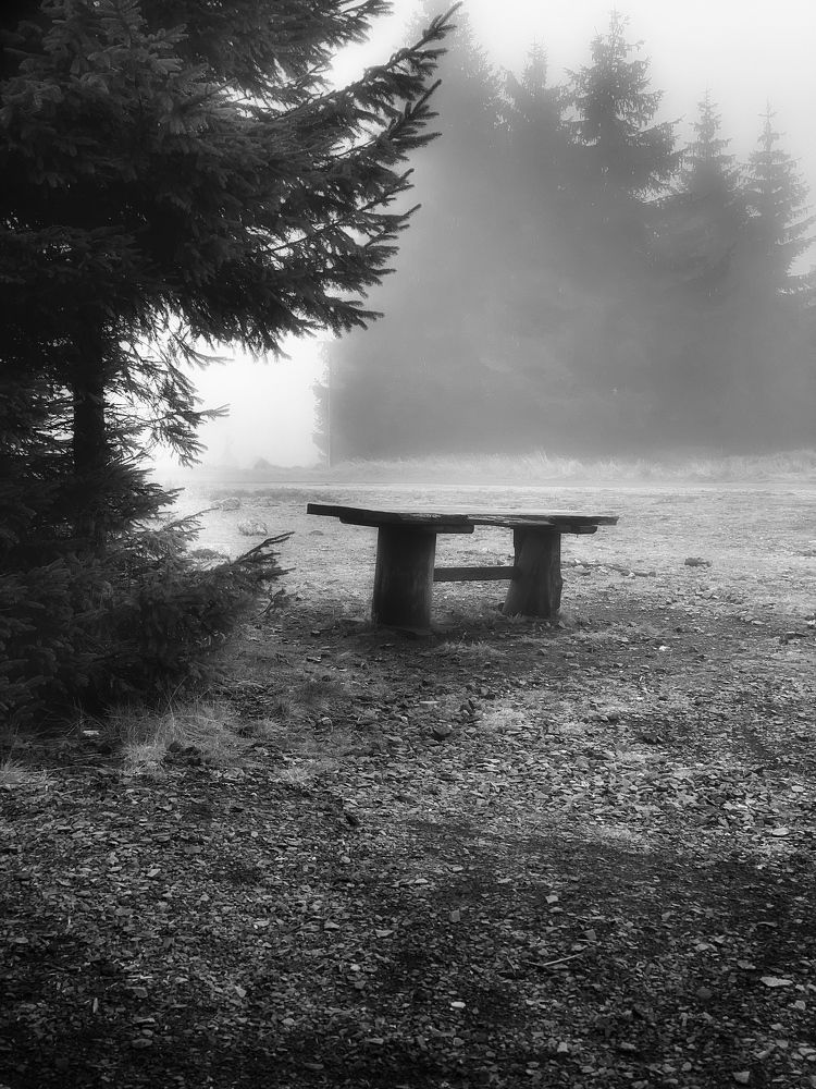 Photograph by Malgorzata Lemiec