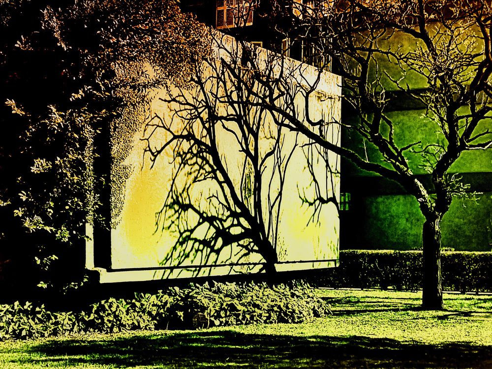 Фотография автора Cristina Wnetrzak