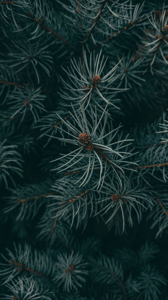 Photograph by Шухрат Нормаматов