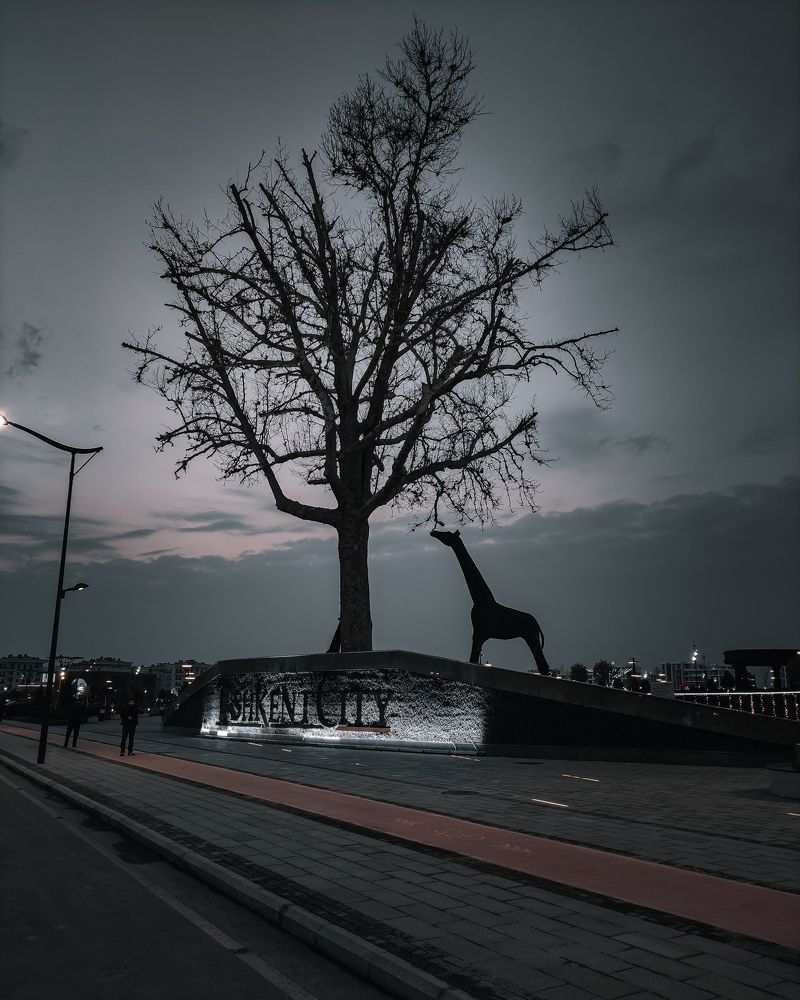 Photograph by Шухрат Нормаматов