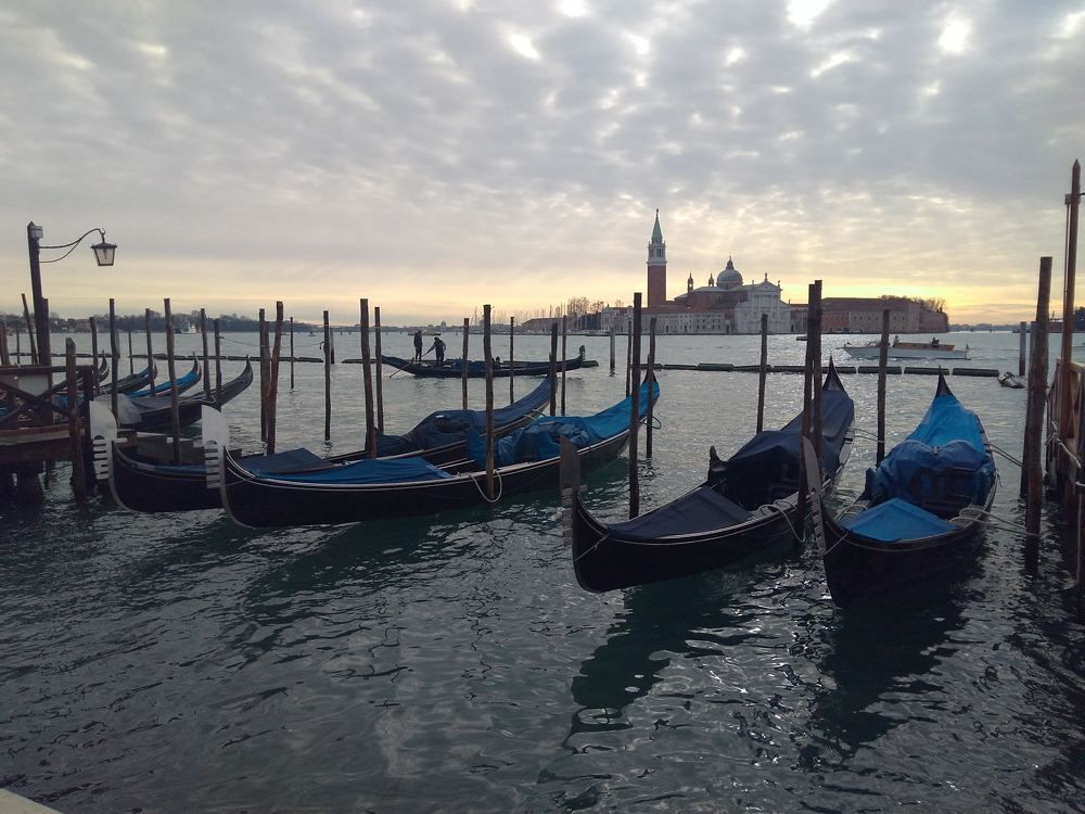 Photo #5954895