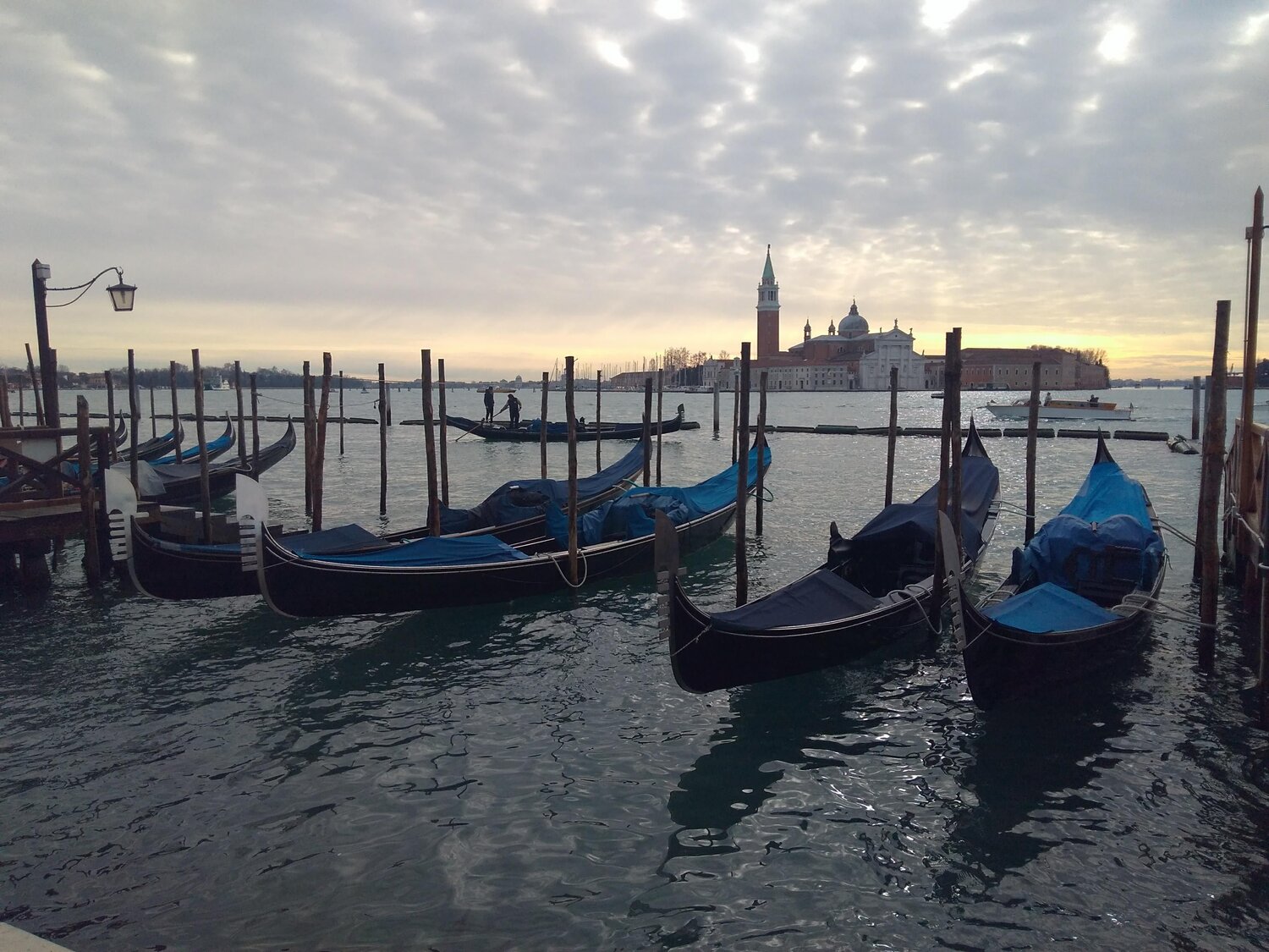 Photo #5954895