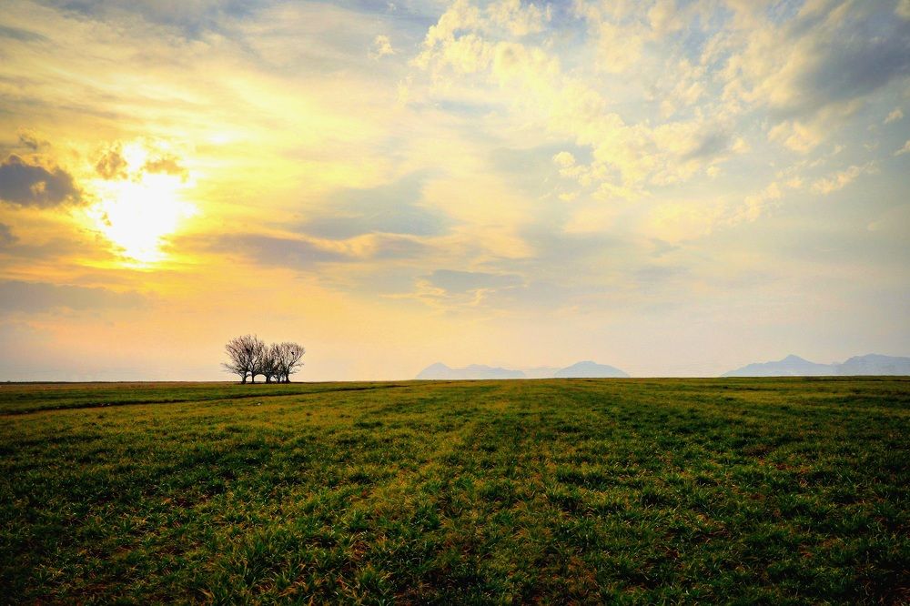 Фотография автора Hadi Nasirian
