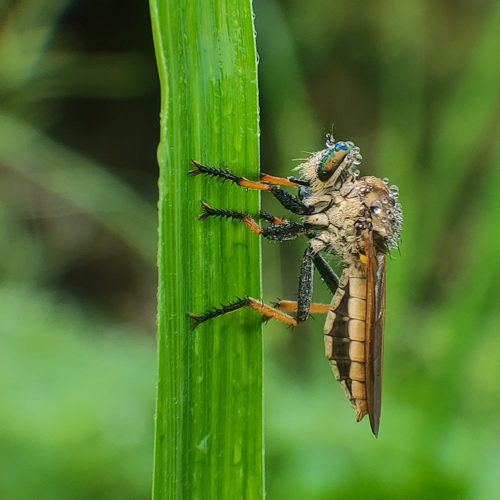 Photograph by Winda Octavianti Surjono