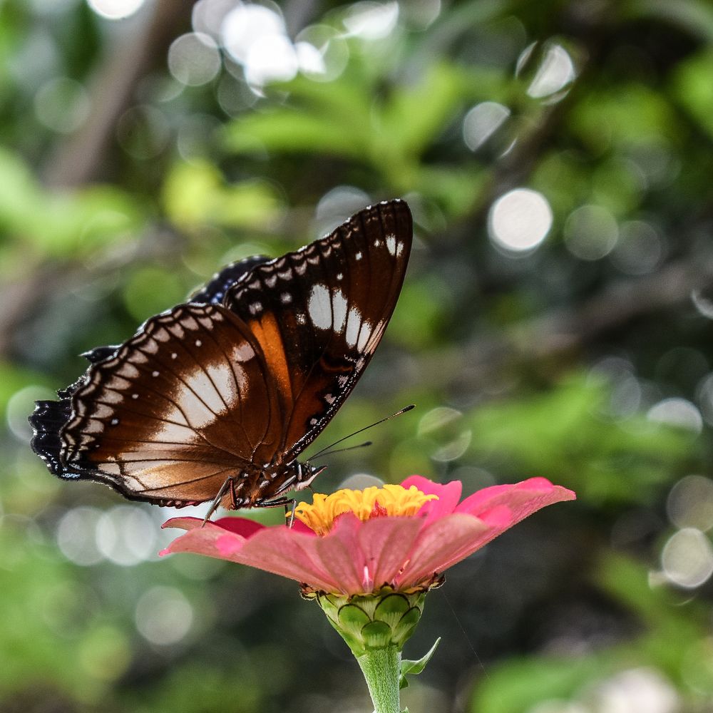 Photograph by Winda Octavianti Surjono