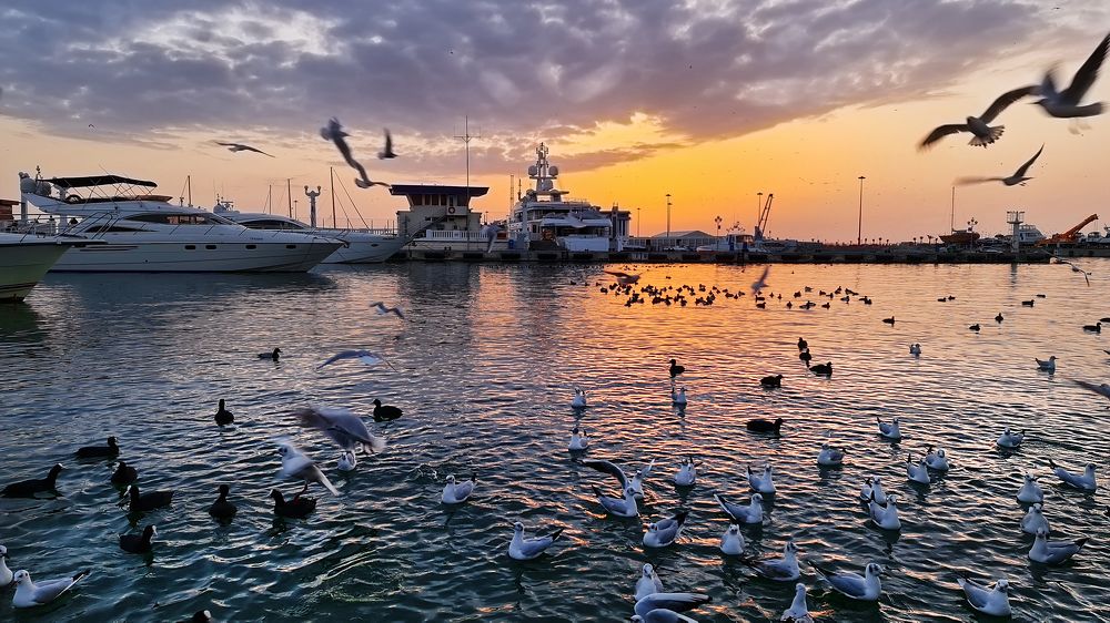 Ощущение Весны Над Гаванью!