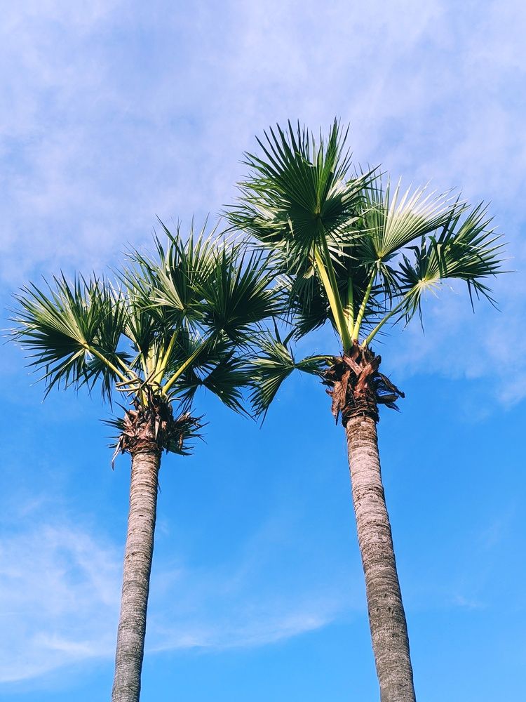 Photograph by Rajinikanth S