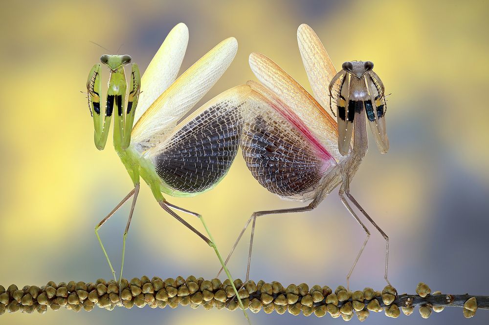 Photograph by way pang