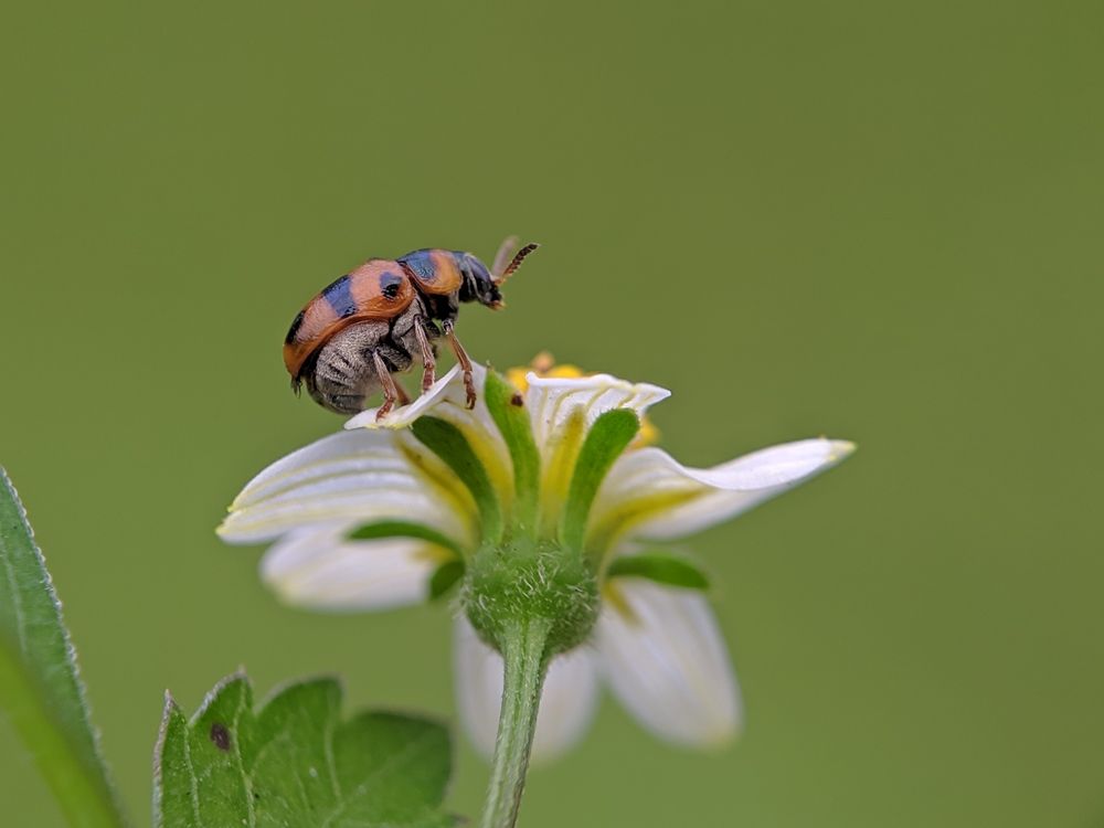 Photograph by Anggi Anggi