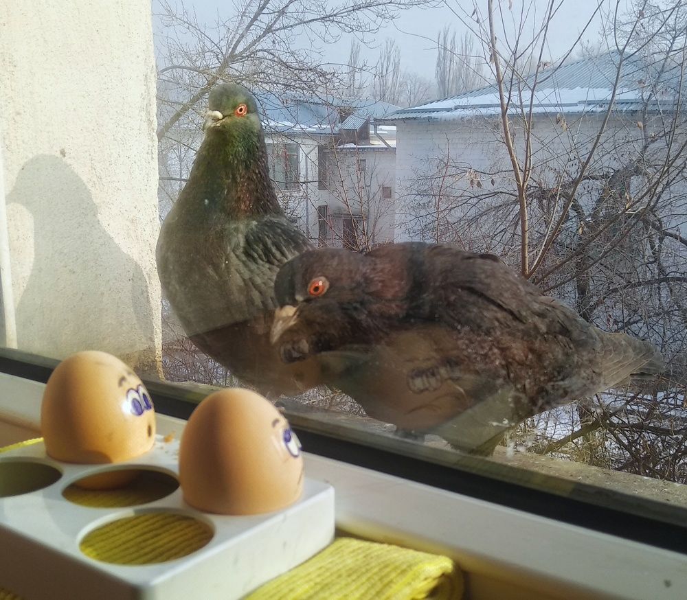 Photograph by Орынбек Асилбаев