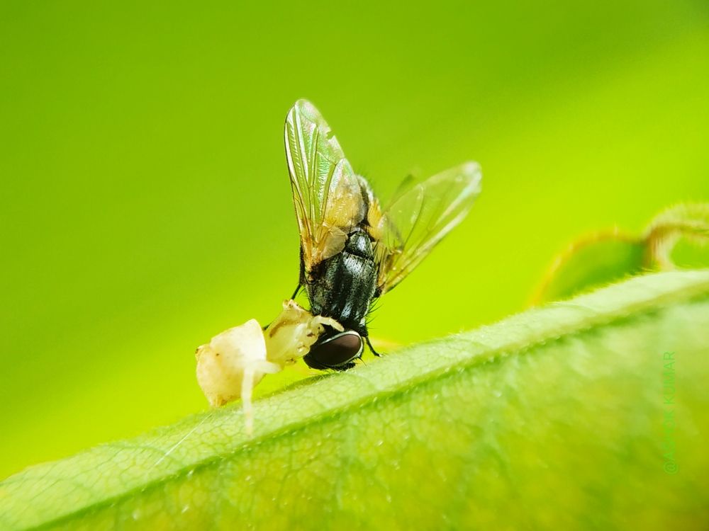 Natural circle of food