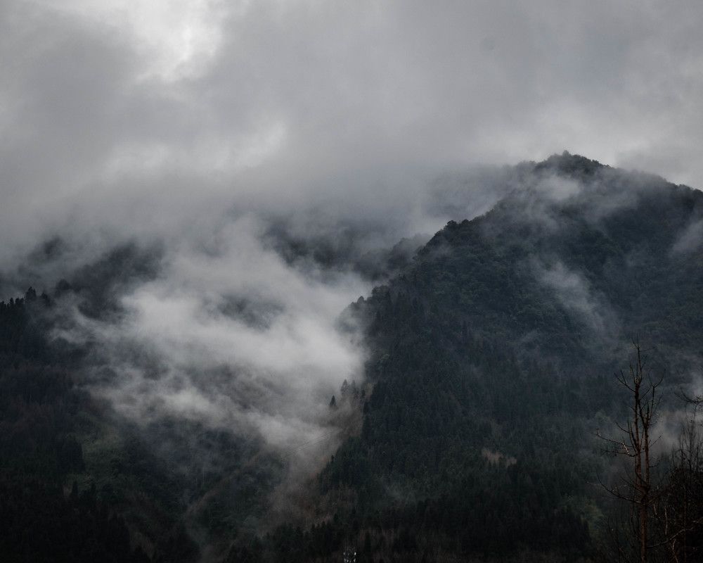 Photograph by Роман