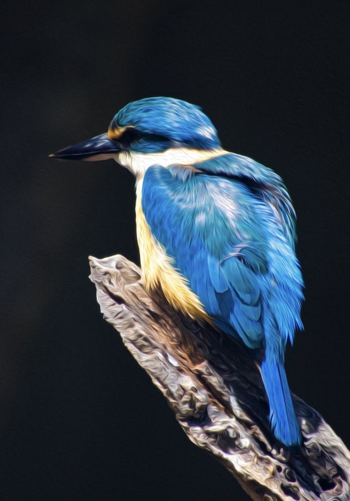 Photograph by Shaquiralee Hobbs