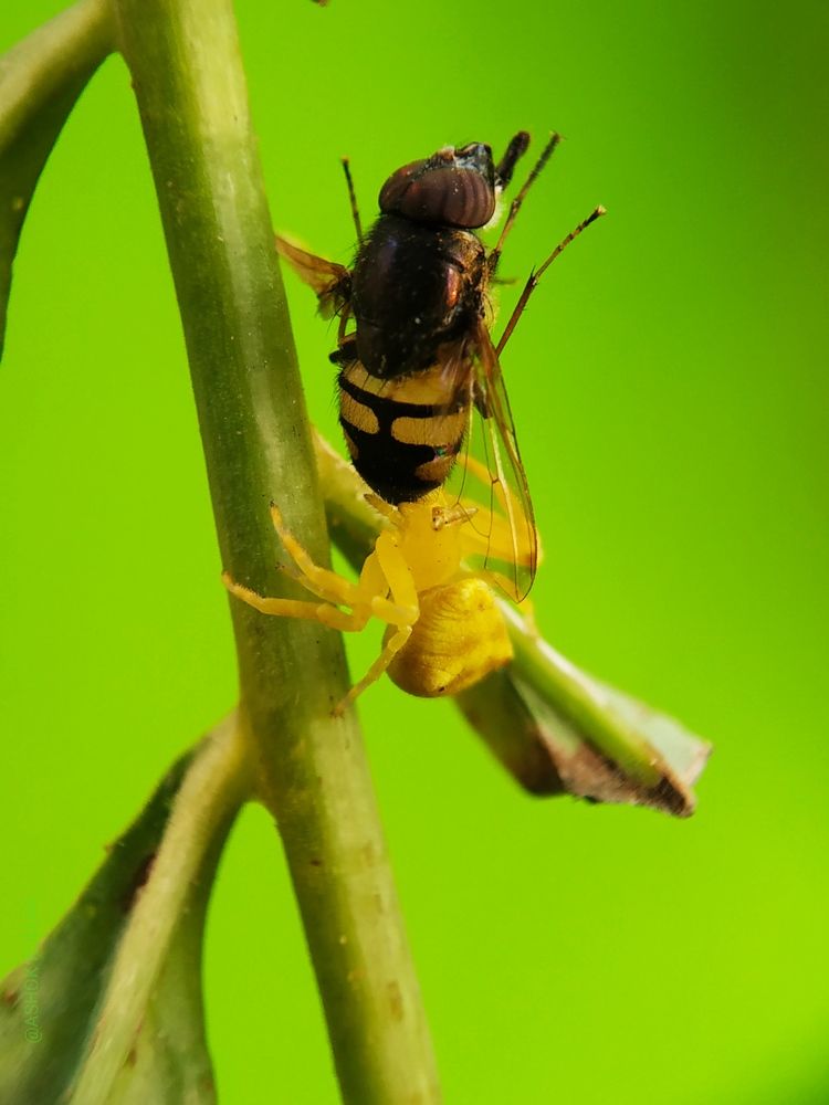 Photograph by Ashok Kumar