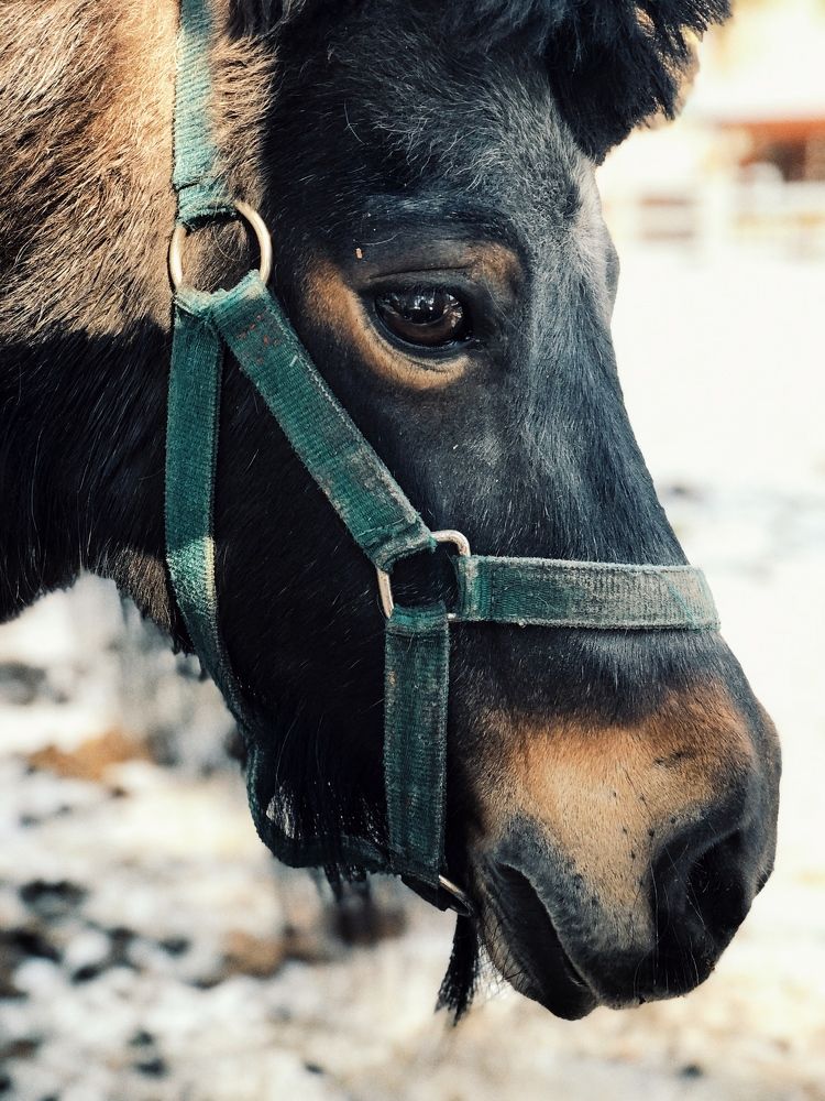 Photograph by Юлия Зубова