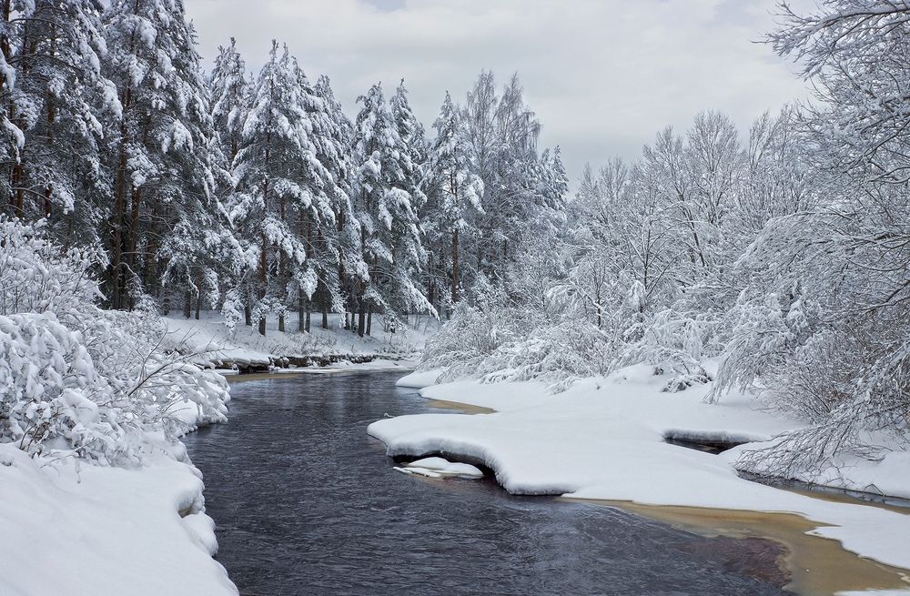 Зимой у незамёршей реки