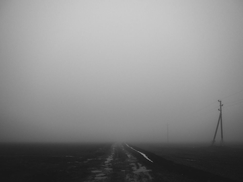 Photograph by Алексей Коротеев