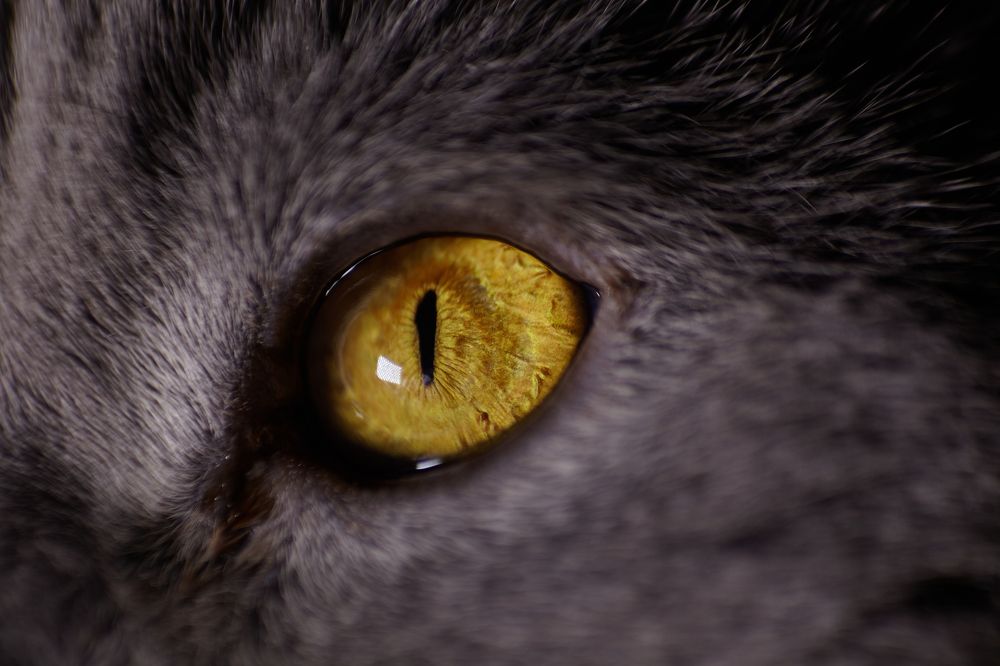 Photograph by Николай Лагоденко