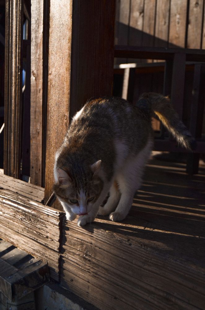 Photograph by Константин Агеев