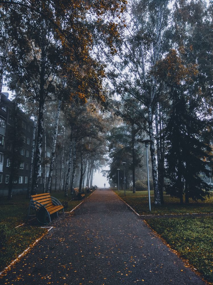 Photograph by Константин Агеев