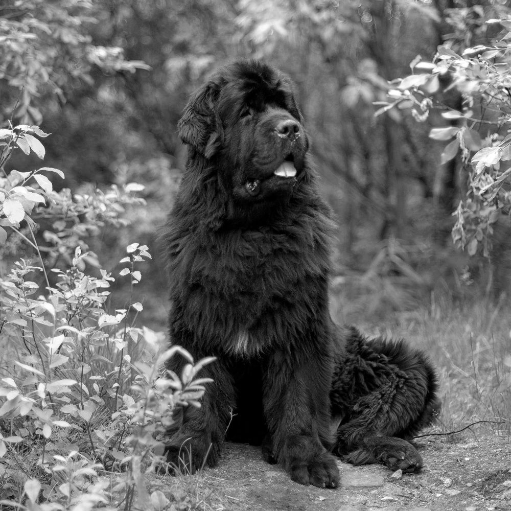 Photograph by Ксения Щербань