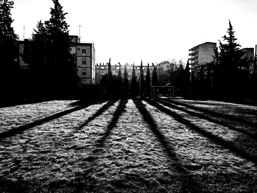 Фотография автора одисей германович