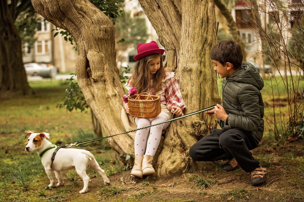 Photograph by Эля Цишба