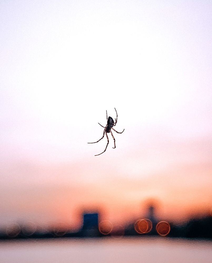 Photograph by Андрей Васильев