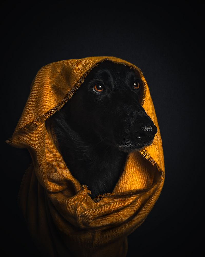 Photograph by Vladimir Smaženka