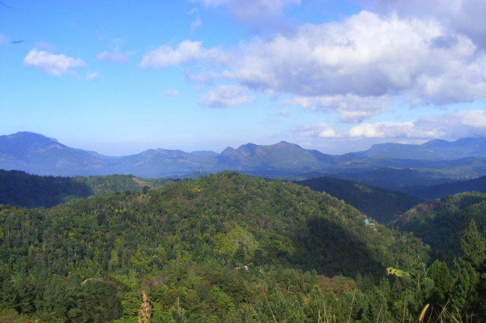 Photograph by Lokuge Sanuth