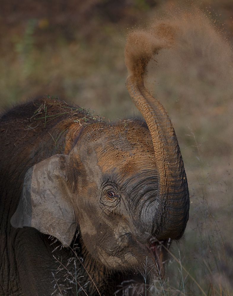 Photograph by Hrishikesh Sabnis
