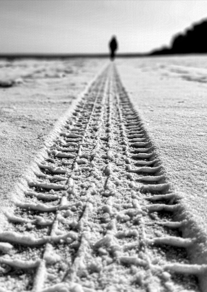 Фотография автора Дмитрий Лебедь