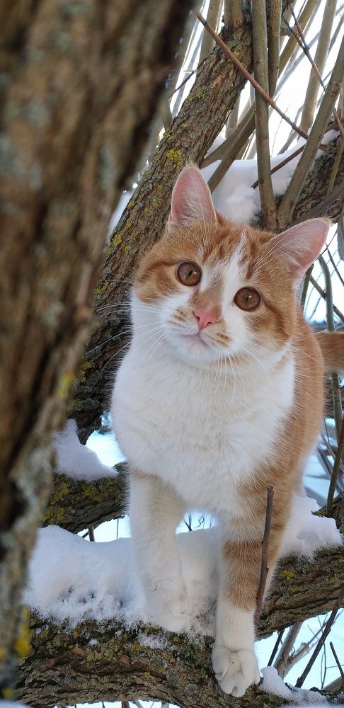 Photograph by Inna Kabanovich