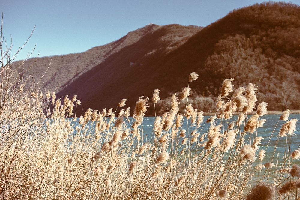 Photograph by Liudmila Shnel