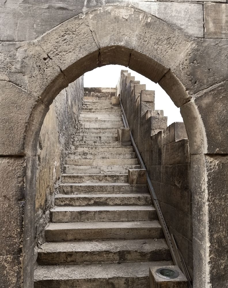 Photograph by Amaal Farrag