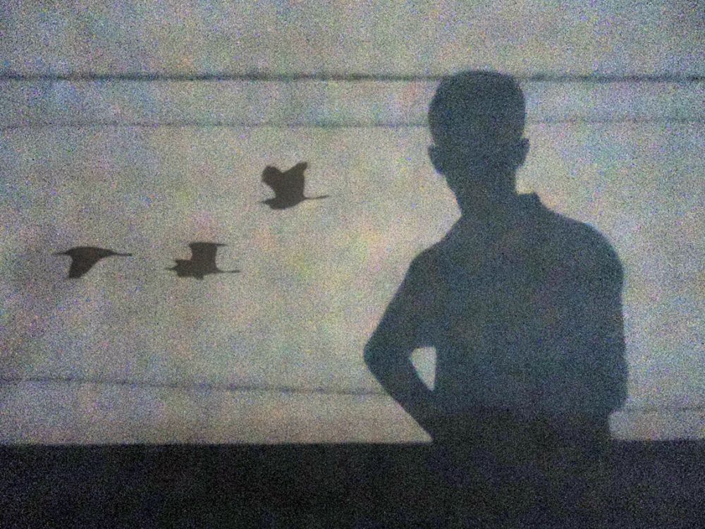 My Philosophy & Shadow