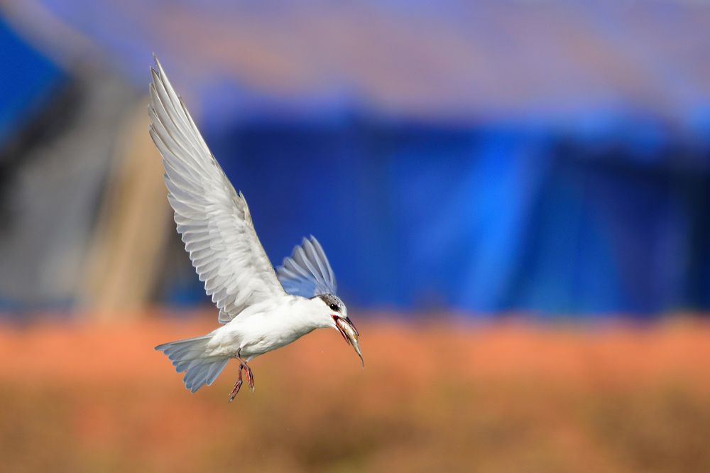 Photograph by Saurav Adhikari