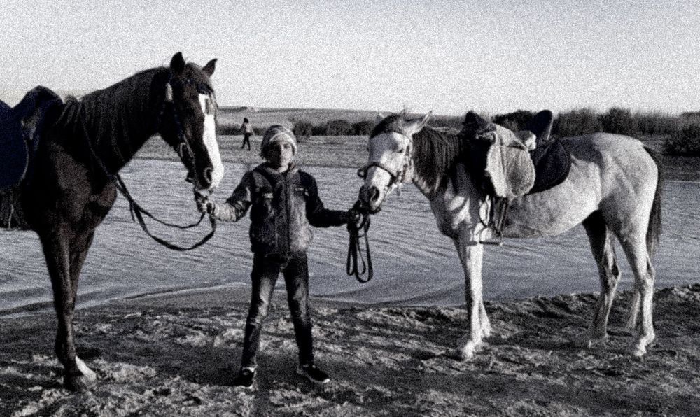 Royal face from fayoum
