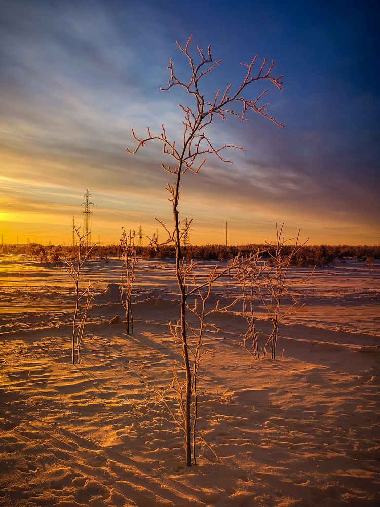 Photograph by Эдуард Кузелев