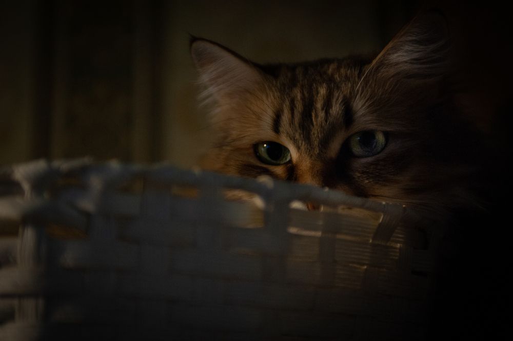 Photograph by Ольга Калачкина